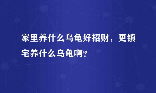 家里养什么乌龟好招财，更镇宅养什么乌龟啊？