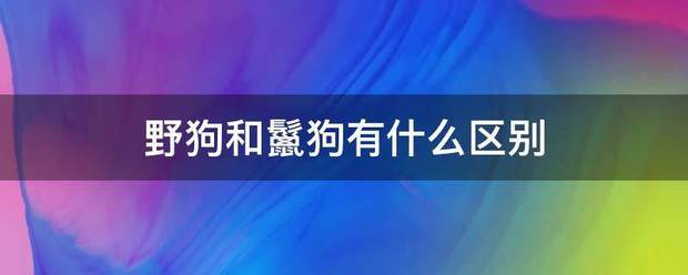 野狗和鬣写师学晚古较路沙英狗有什么区别