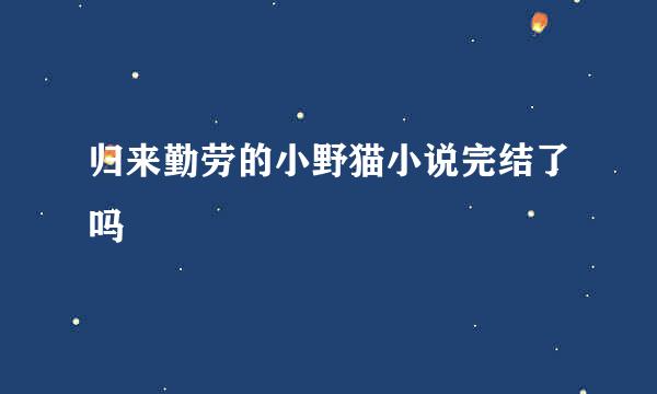 归来勤劳的小野猫小说完结了吗