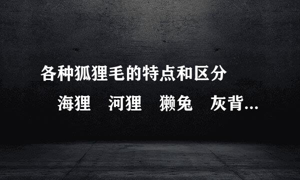 各种狐狸毛的特点和区分   海狸 河狸 獭兔 灰背 黄狼毛的特点