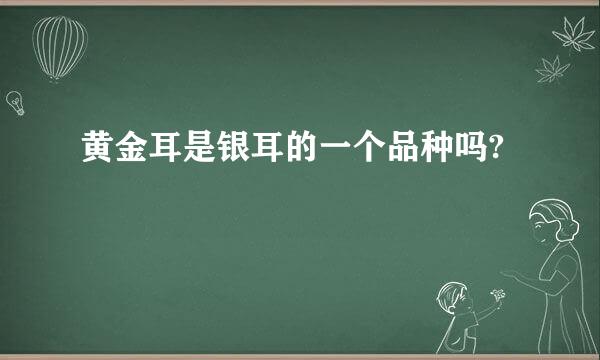 黄金耳是银耳的一个品种吗?