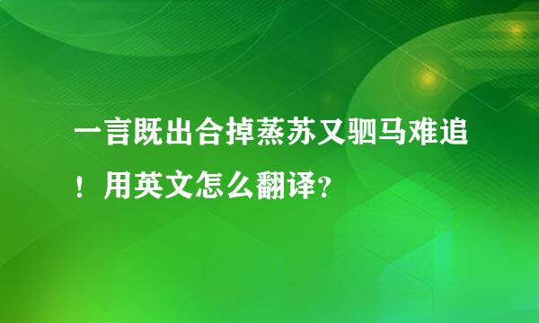 一言既出合掉蒸苏又驷马难追！用英文怎么翻译？