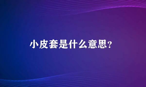 小皮套是什么意思？