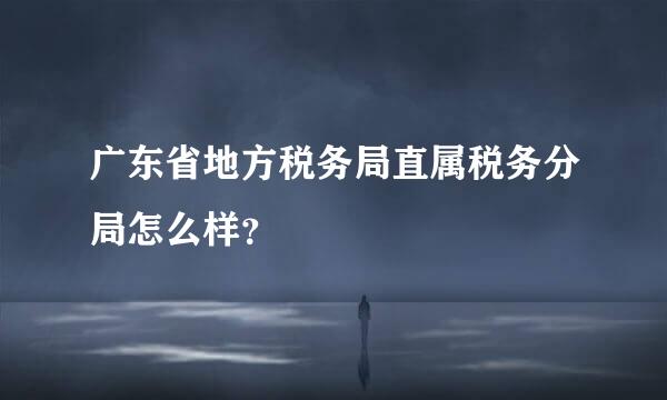 广东省地方税务局直属税务分局怎么样？