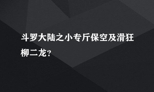 斗罗大陆之小专斤保空及滑狂柳二龙？