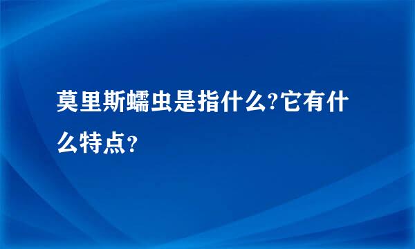 莫里斯蠕虫是指什么?它有什么特点？