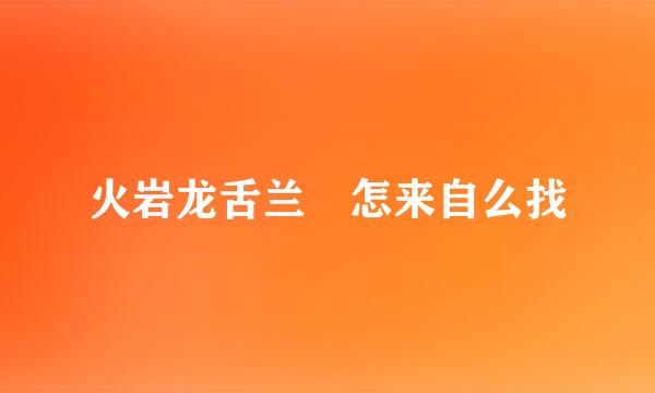 火岩龙舌兰 怎来自么找