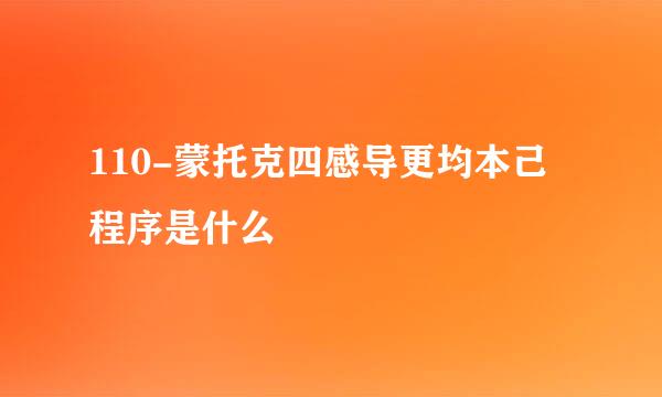 110-蒙托克四感导更均本己程序是什么