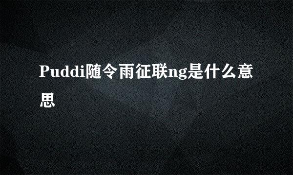 Puddi随令雨征联ng是什么意思