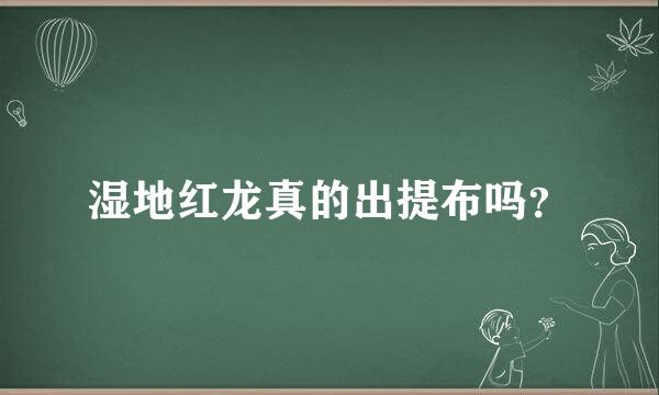 湿地红龙真的出提布吗？