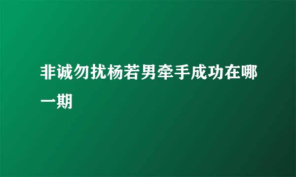 非诚勿扰杨若男牵手成功在哪一期