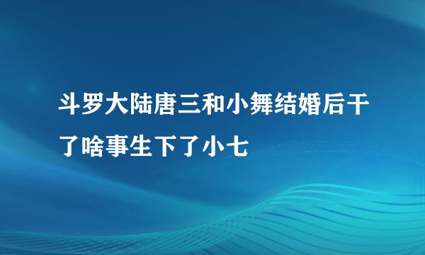 斗罗大陆唐三和小舞结婚后干了啥事生下了小七