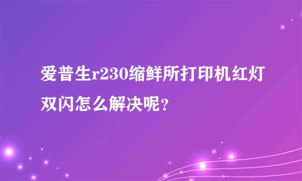 爱普生r230缩鲜所打印机红灯双闪怎么解决呢？