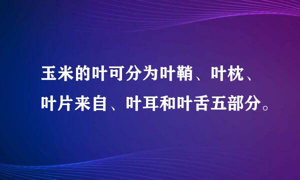 玉米的叶可分为叶鞘、叶枕、叶片来自、叶耳和叶舌五部分。