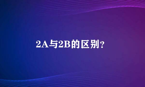 2A与2B的区别？