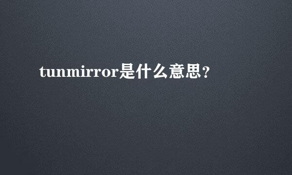 tunmirror是什么意思？