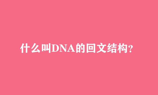 什么叫DNA的回文结构？