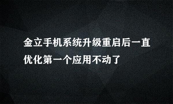 金立手机系统升级重启后一直优化第一个应用不动了