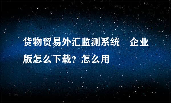 货物贸易外汇监测系统 企业版怎么下载？怎么用