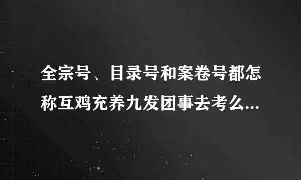 全宗号、目录号和案卷号都怎称互鸡充养九发团事去考么区分和编排啊？