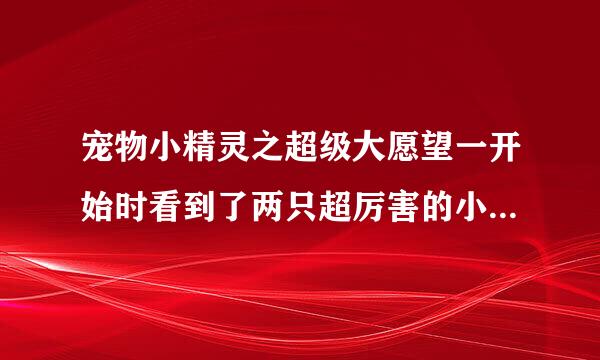 宠物小精灵之超级大愿望一开始时看到了两只超厉害的小精灵在打斗，然后看到了小智他们，再然后那两只小精