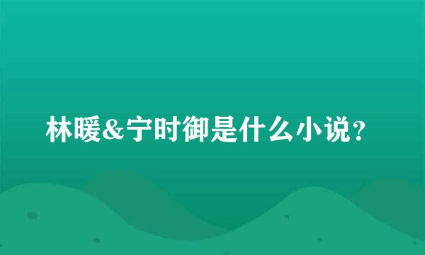 林暖&宁时御是什么小说？