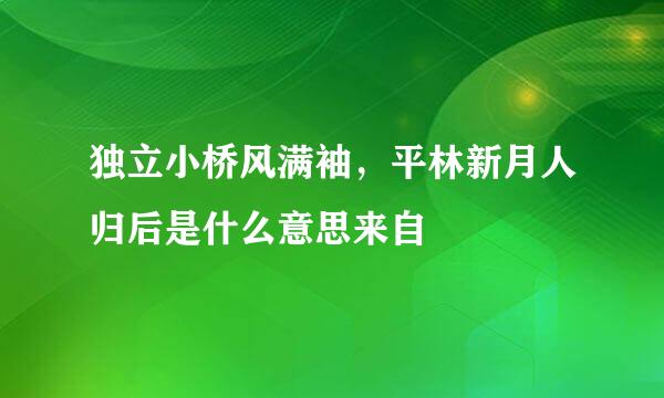 独立小桥风满袖，平林新月人归后是什么意思来自