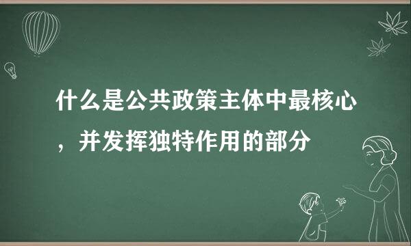 什么是公共政策主体中最核心，并发挥独特作用的部分