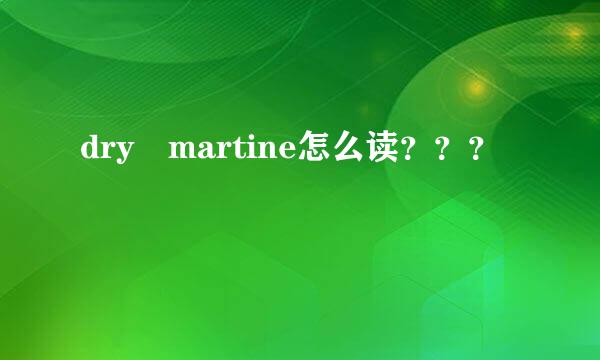 dry martine怎么读？？？