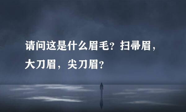 请问这是什么眉毛？扫帚眉，大刀眉，尖刀眉？