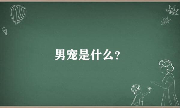 男宠是什么？