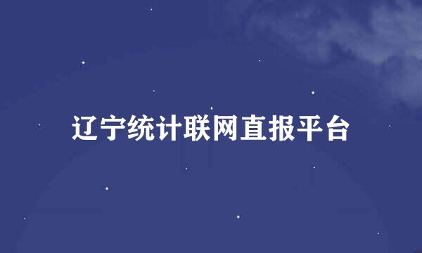 辽宁统计联网直报平台