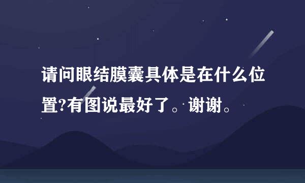 请问眼结膜囊具体是在什么位置?有图说最好了。谢谢。