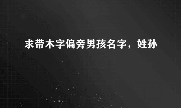 求带木字偏旁男孩名字，姓孙