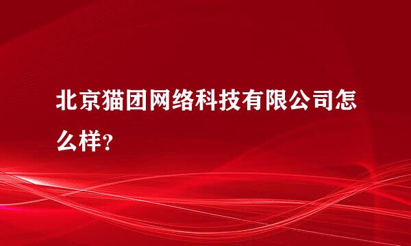 北京猫团网络科技有限公司怎么样？