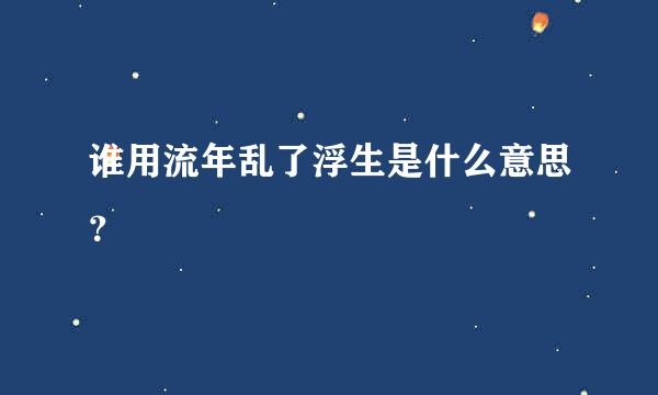 谁用流年乱了浮生是什么意思？