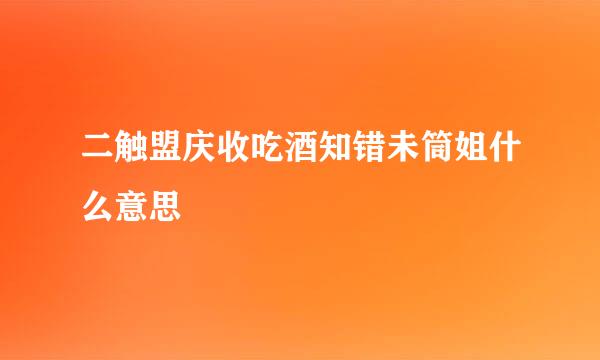 二触盟庆收吃酒知错未筒姐什么意思