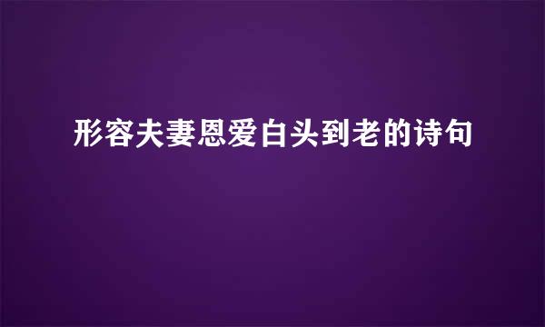 形容夫妻恩爱白头到老的诗句