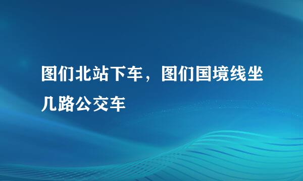 图们北站下车，图们国境线坐几路公交车