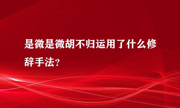 是微是微胡不归运用了什么修辞手法？