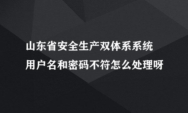 山东省安全生产双体系系统 用户名和密码不符怎么处理呀