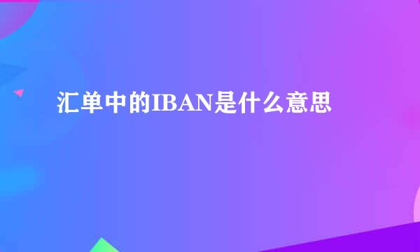 汇单中的IBAN是什么意思