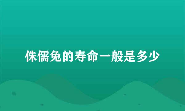 侏儒兔的寿命一般是多少