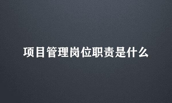 项目管理岗位职责是什么