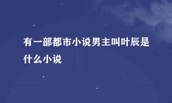 有一部都市小说男主叫叶辰是什么小说