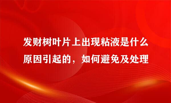 发财树叶片上出现粘液是什么原因引起的，如何避免及处理