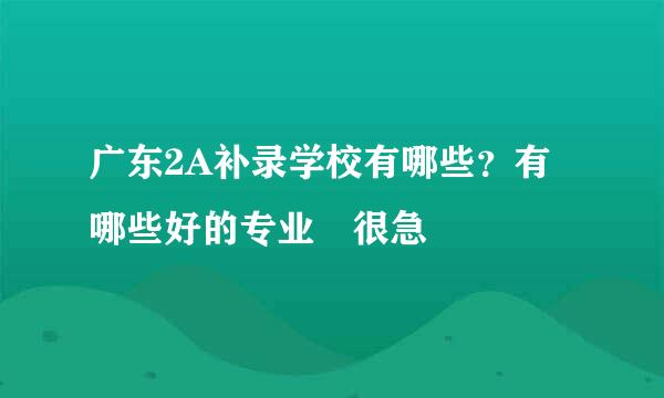 广东2A补录学校有哪些？有哪些好的专业 很急