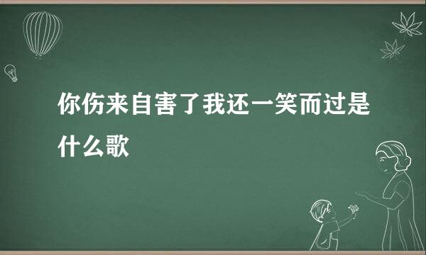 你伤来自害了我还一笑而过是什么歌