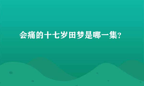 会痛的十七岁田梦是哪一集？