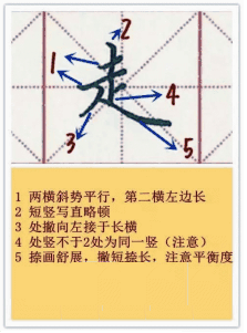 走字旁的字有哪些儿